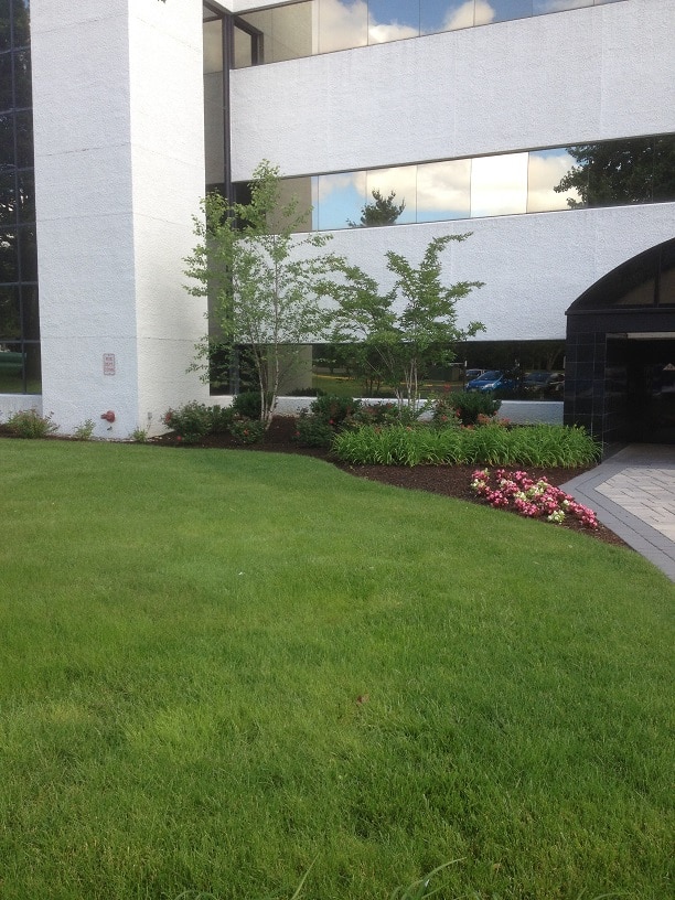 commercial sustainable landscaping