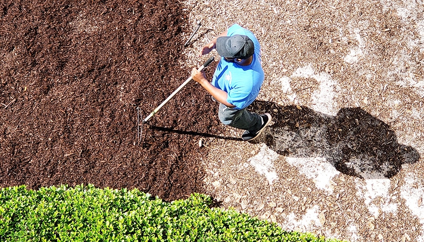 NJ Commercial Landscaping spring clean up